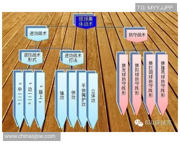 杭州排球队在锦标赛中的节奏表现分析与战术探讨